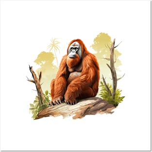 Orangutans Posters and Art